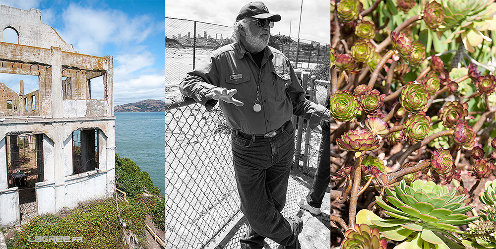 Plus qu'une simple prison, Alcatraz accueille aujourd'hui plus de 73 espèces de plantes