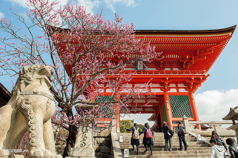 Le temple Kiyomizu-Dera