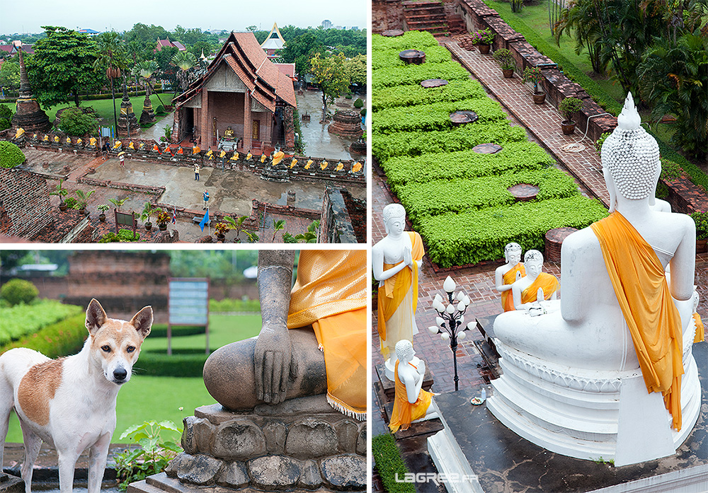 Wat Yai Chai Mongkol