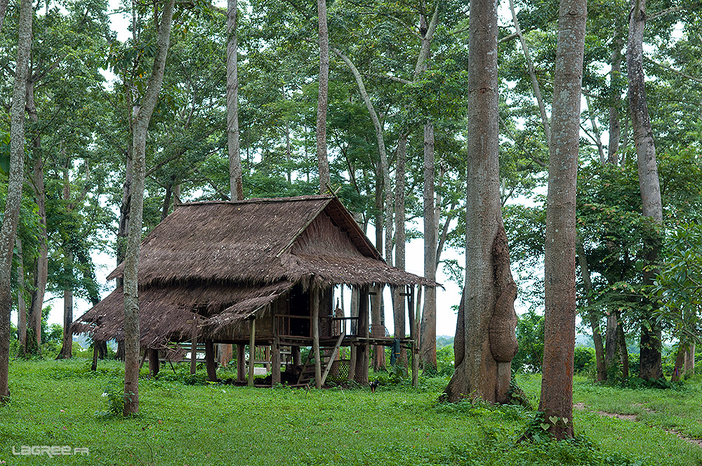 Maison traditionelle Laotienne sur Pilotis.