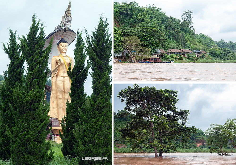 Naga protege le Buddha d'or sur le Mekong