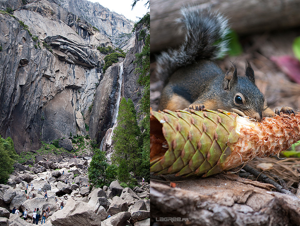 La lower Lower Yosemite Falls