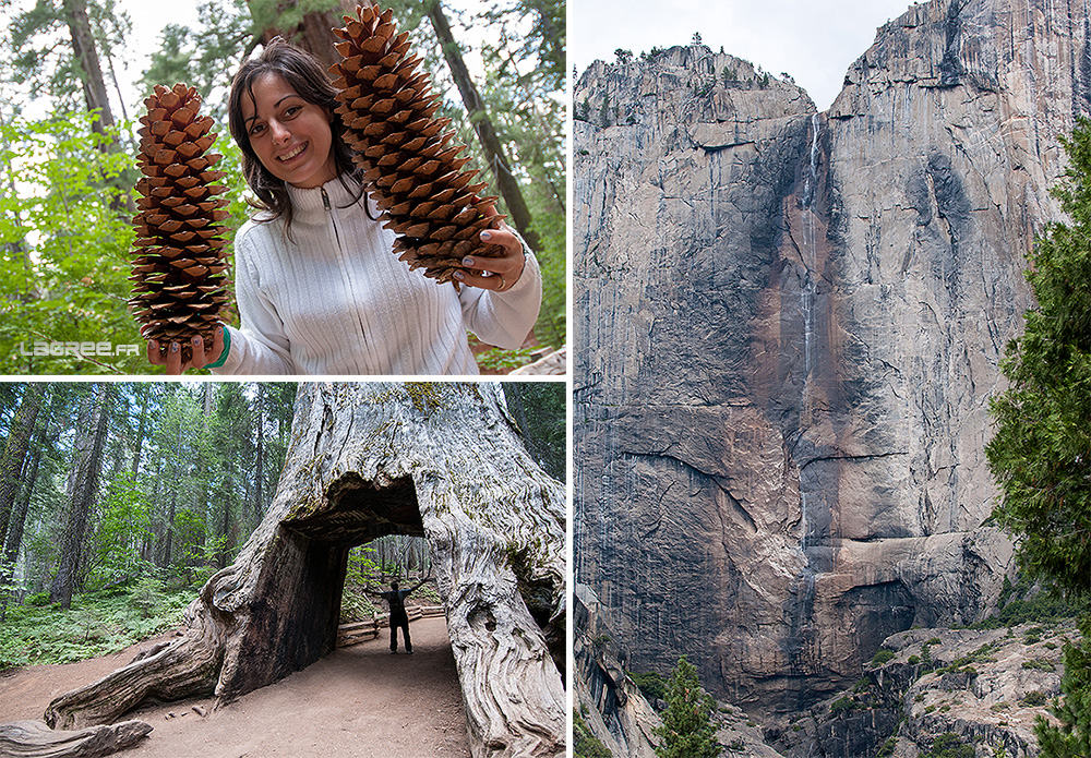  l'upper Yosemite Fall 