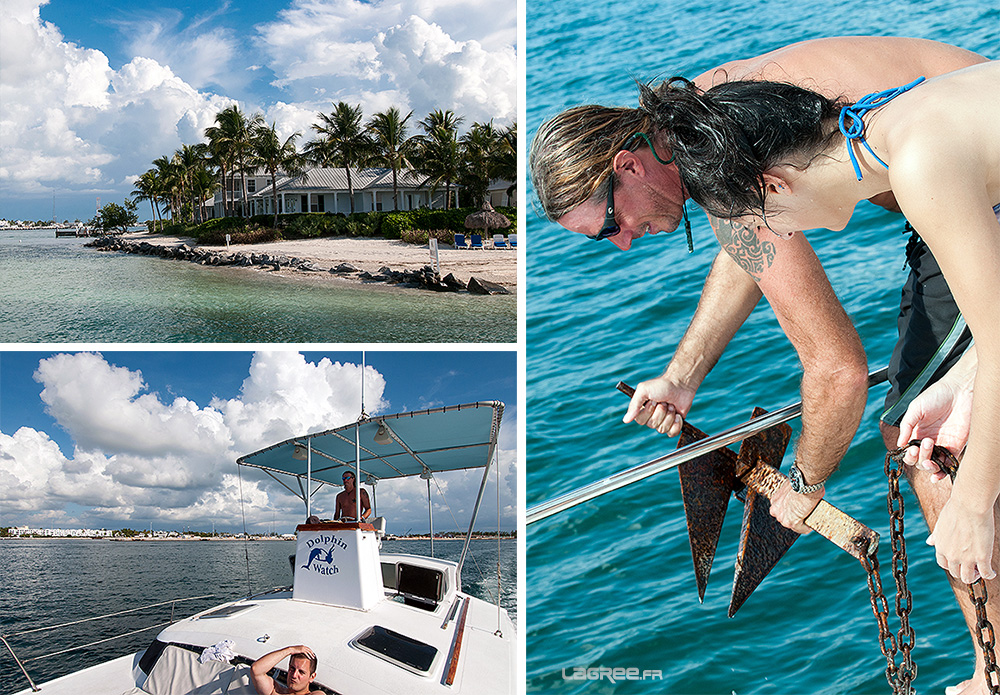 Balade en bateau avec Captain John via Dolphin Watch