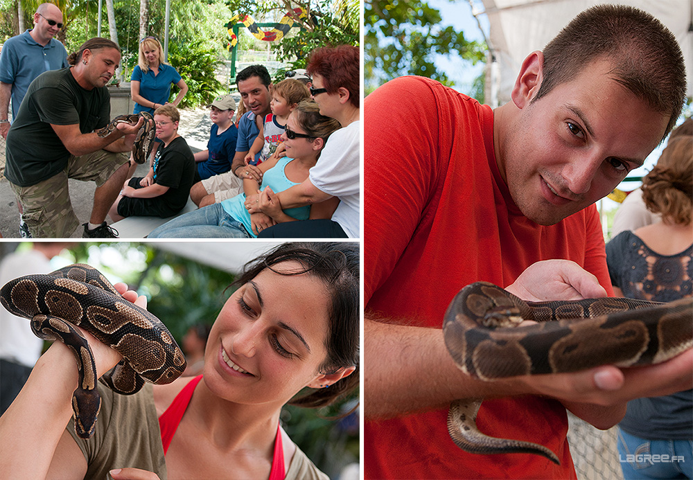 Everglades Alligator Farm