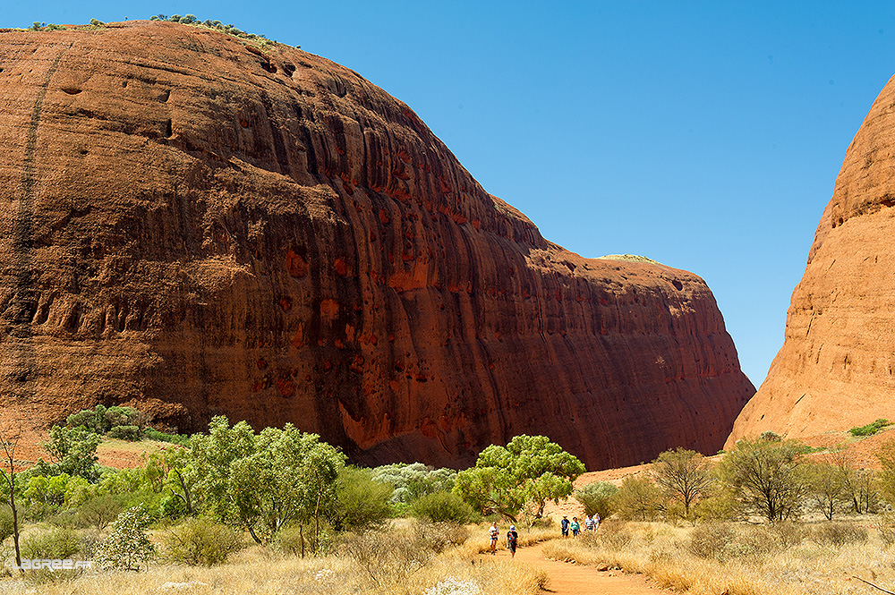 Walpa Gorge Walk